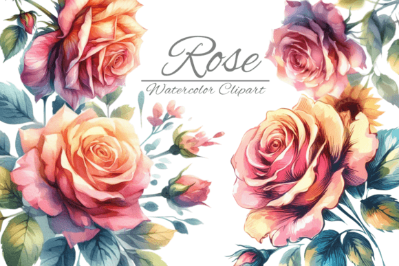 Bring Organic Warmth to Any Project with Watercolor Rose Clipart