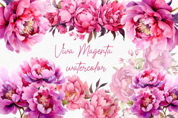Fuchsia Pink Flower Hot Pink Flower: A Watercolor Design Powerhouse