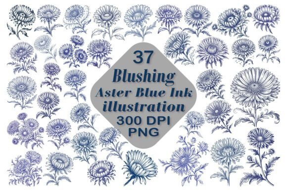 Timeless Floral Design: Aster Blue Ink Illustrations PNG