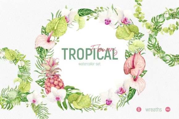 Tropical Flowers Set. Wreaths: A Burst of Paradise for Your Designs