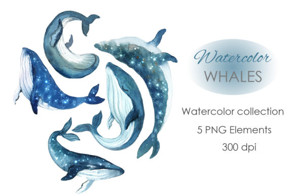 Whale Art Watercolor Whale Clipart for Creative Projects