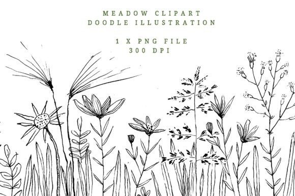 Wildflower, Meadow Flowers, Hand Drawn: A Designer's Delight